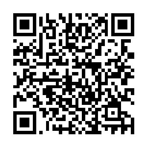 那名叫做丁克的盗贼被麻绳结结实实地绑在一张椅子上二维码生成