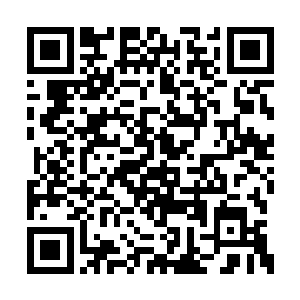 那名弟子看了一眼这身为青辰殿内子弟的释羽薰二维码生成