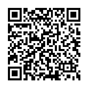 那名招募过來的兽族强者用眼角余光瞥了眼剑尘二维码生成