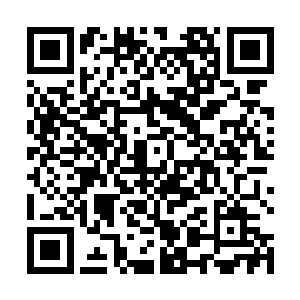 那名石匠大人走到远处一名看不清面容的锦衣女子身前二维码生成