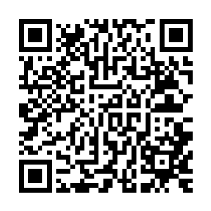 那名神态间带着几分高傲之色的女子也是忍不住的大笑了出来二维码生成