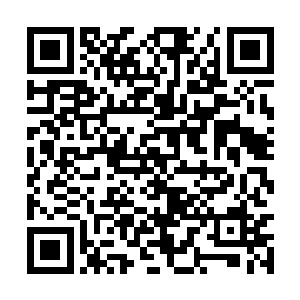 那名脸上带有纨绔之色的青年忍不住的大笑了起来二维码生成