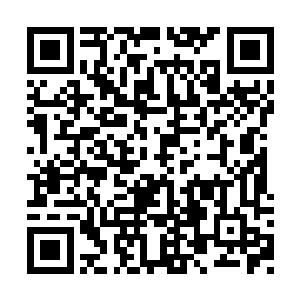 那名被马文派去寻找萝拉的警备队成员迟迟未归二维码生成