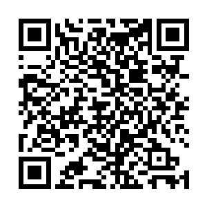 那后来南白子老前辈是为什么把红尘莫问建在了这里么二维码生成