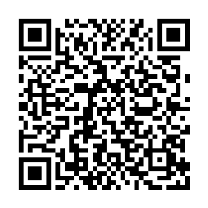 那吸收的浓浓鬼气都完全的进入了我的丹田气海二维码生成