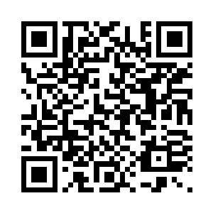 那和日本寿司的生鱼片完全是两码事二维码生成