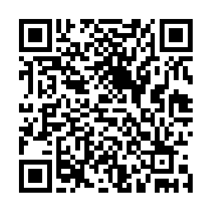那四个元婴和金丹弟子见化神期的师兄冲他们投来这种目光二维码生成