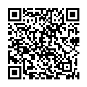 那四个被围困的不朽境界的高手顿时从阵法之中脱困而出二维码生成