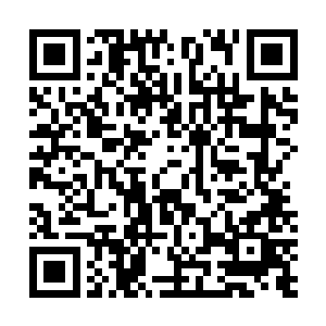 那四位自从七个月前接了名誉长老令牌就在灵脉湖旁修炼二维码生成
