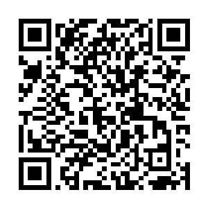 那四十万西凉大军恐怕须臾之间就能把整个洛阳给吞没二维码生成