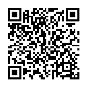 那四周的佛陀依旧一个个面无表情地注视着大殿中心的两人二维码生成