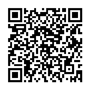 那四臂女子也忽然发出了一阵阵愤怒而痛苦的尖叫二维码生成