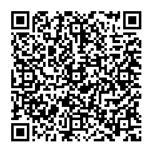 那团火焰放射出来的高温瞬间便将周围直径足足上百万公里内的星域范围内所有的瘟疫病毒全部灭杀二维码生成