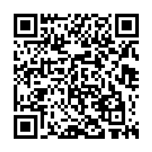 那图案与卷轴之上的结界门上面的图案一模一样二维码生成