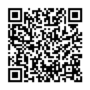 那圣蛊盖真的被人从长白山秘境当中带出来的话二维码生成