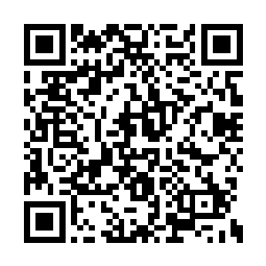 那在吹沙填海的时候可能就要做打桩之类的工序二维码生成