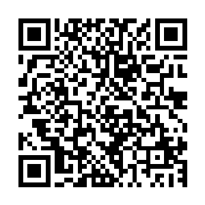 那在最初就直接表明自己看上流墨墨想收她当弟子的黄衣女仙二维码生成