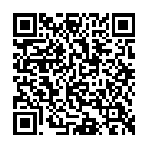 那在风蓝王国中的地位将会瞬间提升到一个巅峰二维码生成