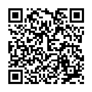 那块最初他送给她的名贵临江玉挂在她的脖子上二维码生成