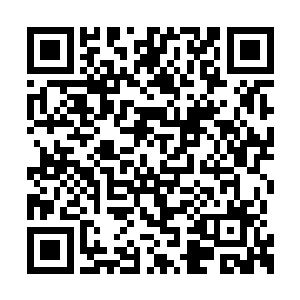 那块篮球大小的碎石擦着苏凡的头皮砸在了地上二维码生成