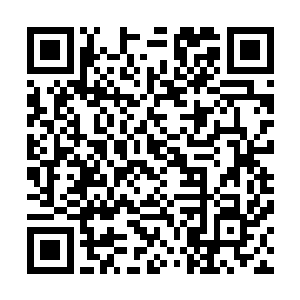 那城卫军的老大就一定会将他们两个当成活祖宗一样的供着二维码生成