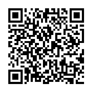 那处在中心区域的位置直线探索到了荒芜大陆北方的尽头处二维码生成