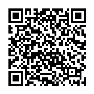 那夏天以后也就会帮这些百星罪者走这三条路的修炼二维码生成