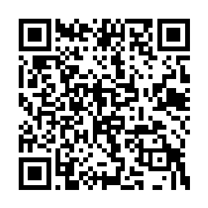 那夜氏家族派来的一百精英就随我们一同前去吧二维码生成