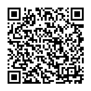 那大多数的一级曼克斯特巨蛇术士恐怕都会进化成三级的霍拉尔黑蛇术士二维码生成