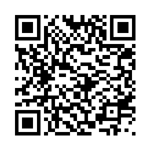 那大树精的千百根须尽入这漩涡中二维码生成