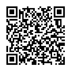 那头太古熔岩神兽立即对着纳甲土尸使出时间火网二维码生成