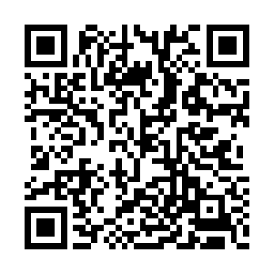 那头巨大的妖兽最后硬生生的被那个人给撕开了二维码生成