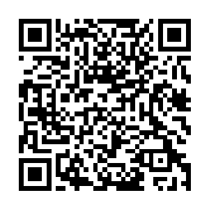 那头抹了口红的霸王龙背后不知什么时候多了一名英姿飒爽二维码生成