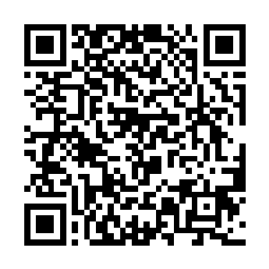 那如云般堆积的劲气忽得在这一挥袖间升腾聚集起来二维码生成