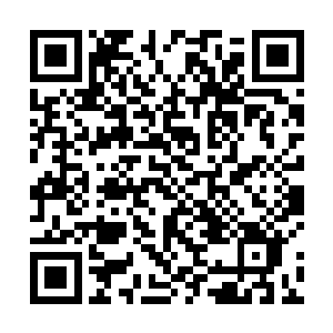 那如今躺在棺材里的尸体居然就是对方口中的世外高人二维码生成