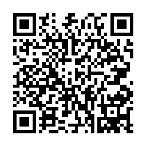 那妖族见到刚才还生龙活虎的同伴顷刻之间便化成了尘土二维码生成