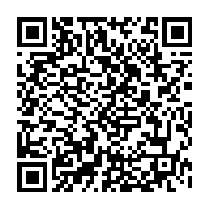 那妖鬼不是说这圣地之中的人必须要拥有真龙的纯正血脉才可以得到的么二维码生成