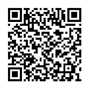 那宛若毒蛇一般的光芒在地狱火焰之中战意充沛二维码生成