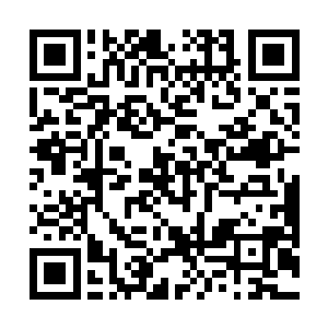 那密密麻麻的罗刹就好像被击碎的冰雕一般散落成碎片二维码生成