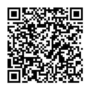 那寒仙门很可能就不会归还我们同样厉害的荒兽了……就算寒仙门想二维码生成