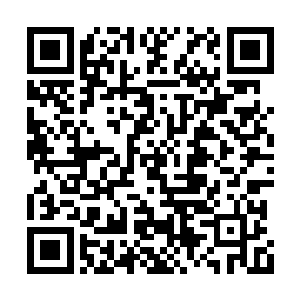那寒冷的气息甚至让剑尘的手臂都感到一阵僵硬二维码生成