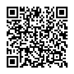 那寥寥十只不到的邪魔后裔很快也开始支撑不住二维码生成