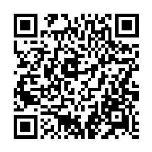 那对差点被孙子轩拔光了毛变成秃鸡的凤凰也可以办到二维码生成