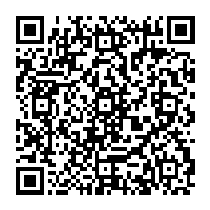 那对清澈的眸子会因为暂时失去焦点而露出一抹楚楚动人的茫然……那一瞬间的她二维码生成
