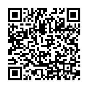 那对那个大虫子而言只怕也是一个不小的损失啊二维码生成
