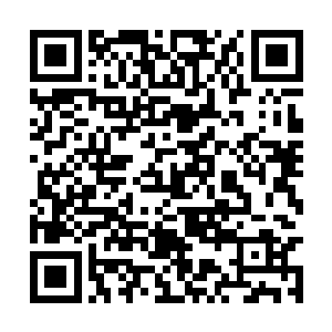 那小腿骨居然被林封谨踩得成了九十度的惊人反折二维码生成