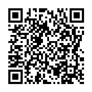 那小龙又重新的变回了一颗长着一黑一白两片树叶的小草二维码生成