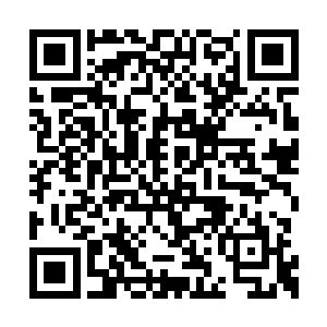 那少年和他身后那些恭敬的少年少女们都是一僵二维码生成