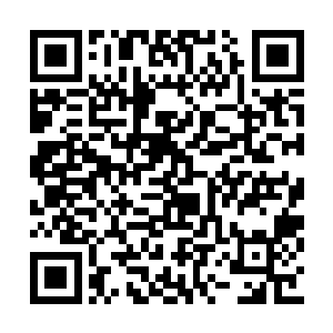 那尤姓老者和袁同光等人都安安静静地站在下面二维码生成