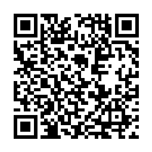 那就不可能如此草率地拍一只雪狼过来取自己的性命二维码生成